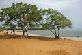 Guinea West Africa Boke province wild beach Bel Air