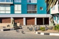 Guineafowls in the yard