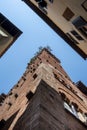Guinigi Tower Royalty Free Stock Photo