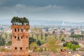 Guinigi tower, Lucca, Italy Royalty Free Stock Photo