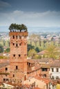 Guinigi tower, Lucca, Italy Royalty Free Stock Photo