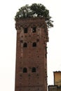 Guinigi Tower, Lucca