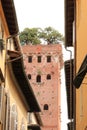 Guinigi Tower, Lucca