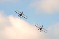 Guinot Wing Walking team