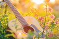 Guitar Amidst Field of Flowers