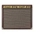 Guitar amplifier acoustic