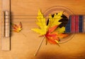 Guitar in autumn leaves.