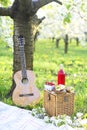 Guitar, basket, sandwiches, plaid and juice in a blossoming garden