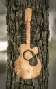 Guitar carved into the bark of a tree