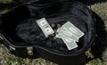 Guitar case with money busker