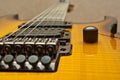 Guitar deck and fretboard Royalty Free Stock Photo