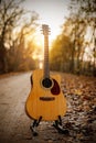 Guitar in the foreground. Autumn park in the background Royalty Free Stock Photo