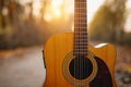 Guitar in the foreground. Autumn park in the background Royalty Free Stock Photo