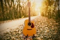 Guitar in the foreground. Autumn park in the background Royalty Free Stock Photo