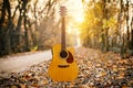 Guitar in the foreground. Autumn park in the background Royalty Free Stock Photo
