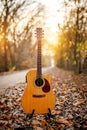 Guitar in the foreground. Autumn park in the background Royalty Free Stock Photo