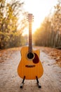 Guitar in the foreground. Autumn park in the background Royalty Free Stock Photo