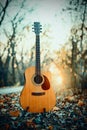 Guitar in the foreground. Autumn park in the background Royalty Free Stock Photo