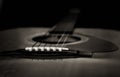 Guitar Fret in black and white Royalty Free Stock Photo