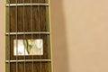 Guitar fret board