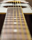 Guitar fret-board with a shallow focus.  Overall image has an aged look Royalty Free Stock Photo