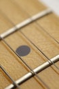 Guitar Fret Macro Royalty Free Stock Photo