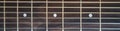 Guitar fretboard. Banner. Close-up. Vulture of an acoustic guitar. Royalty Free Stock Photo