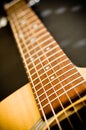 Guitar Frets