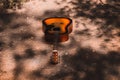 guitar on the ground under the trees
