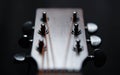 Guitar head and tuning pegs in closeup. Professional acoustic guitar in close up Royalty Free Stock Photo