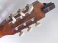 Guitar headstock backside, with installed clip-on tuner, that sh