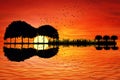 Guitar island sunset Royalty Free Stock Photo