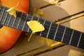 Guitar and leaves on a bench in the park. Royalty Free Stock Photo