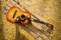 Guitar and leaves on a bench in the park. Royalty Free Stock Photo