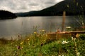 Guitar lying in the grass by a mountain lake