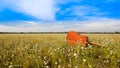 The guitar with meadow background