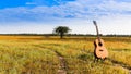 The guitar with meadow background