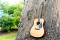 Guitar on old wood wall trunk in nature