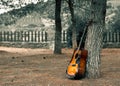 guitar outdoors laying on a tree and dead yellow leafs on the gr