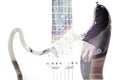 Guitar player and guitar silhouette in double exposure effect Royalty Free Stock Photo