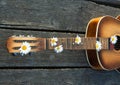 Guitar on the river dock. Royalty Free Stock Photo