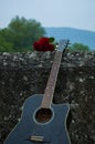 Guitar and roses on Roman Bridge in Sarajevo Royalty Free Stock Photo