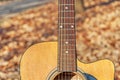 Guitar standing on bench in autumn park close Royalty Free Stock Photo