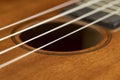 guitar string vibrating close-up, small depth of field Royalty Free Stock Photo