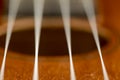 guitar string vibrating close-up, small depth of field Royalty Free Stock Photo