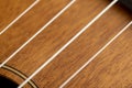 guitar string vibrating close-up, small depth of field Royalty Free Stock Photo