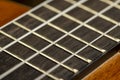 guitar string vibrating close-up, small depth of field Royalty Free Stock Photo