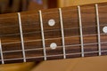 Guitar Strings on a Fretboard Royalty Free Stock Photo