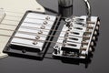 guitar whammy bar bridge Royalty Free Stock Photo