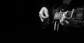 Guitarist hands and guitar close up. playing electric guitar.  black and white. copy spaces Royalty Free Stock Photo